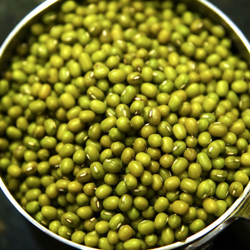 Natural Green Mung Beans, Size : 4 Mm for Cooking, Human Consumption
