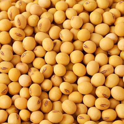 Soybeans, Purity : Min. 98%, Moisture : Max. 10%