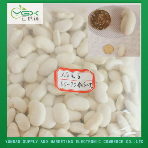 White Kidney Beans 65-75 Grains/ 100g, Brand Name : YGX