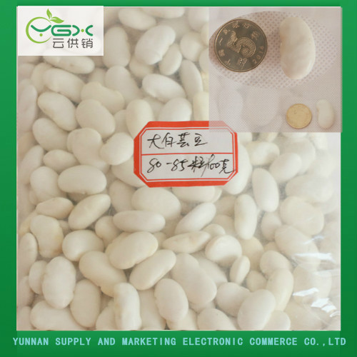 White Kidney Beans 80-85 Grains/100 G, Brand Name : YGX