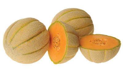 Musk Melon