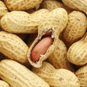 Groundnut Peanut