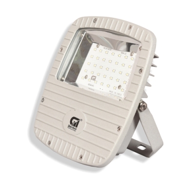 50Hz Flood Light, Lighting Color : CW, WW