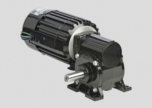 AC Geared Motors