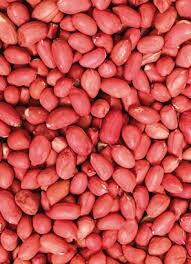 Shelled Peanuts, Application : Snacking, Cooking, Baking