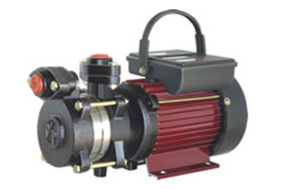 Self Priming Mono Block Pump