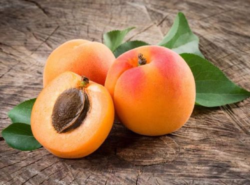 Apricot