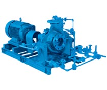 Process Pumps