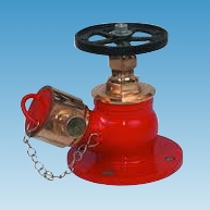 Fire Hydrant Valve