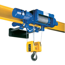 Crane Hoist