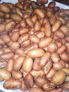 Bitter Kola Nuts, Packaging Type : 20kg