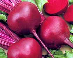 Organic Fresh Beetroot, Shelf Life : 10-15days