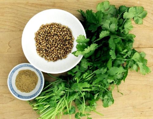 Coriander, Shelf Life : 12 Months