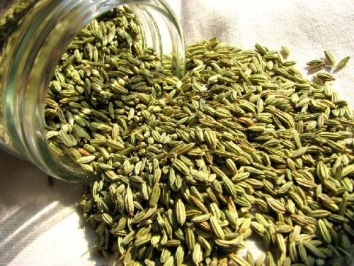 Fennel seeds, Type : Seeds