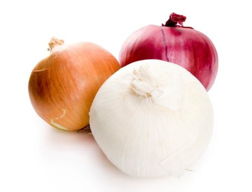 Onions, Shelf Life : 2-4 Weeks