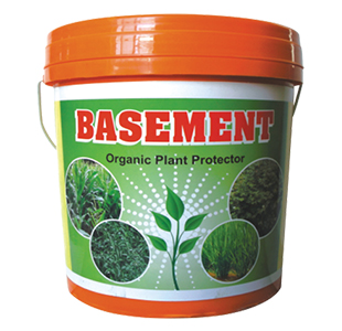 Basement BIO FERTILIZER