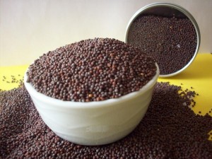 Mustard Seeds