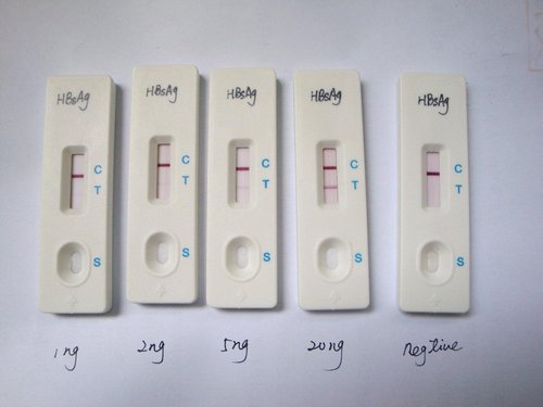 Hbsag Rapid Test Kits