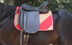 Dressage Saddle