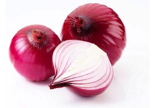 Onion