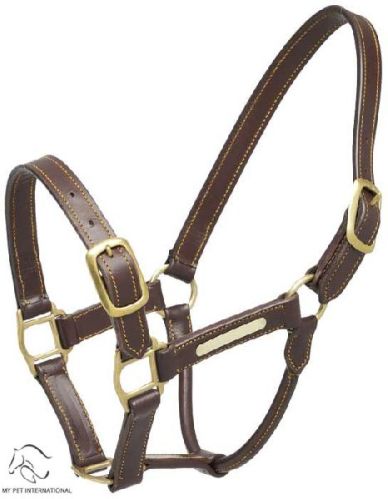 Elite Designer Halter By Red Haute Horse