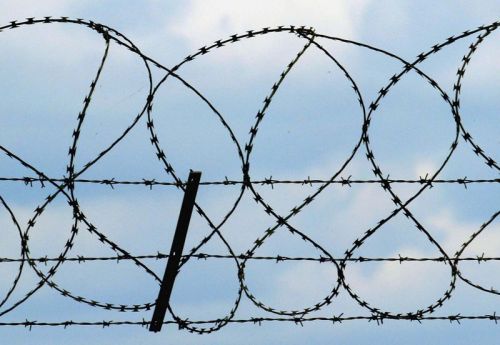 Barbed Wire, Length : 100 Feet