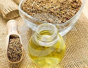 Fennel Seed Oil