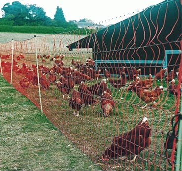 Poultry Nets, Color : Black, Baby Blue