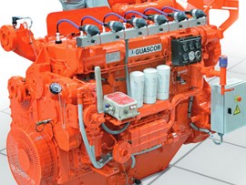 Natural Gas Generator