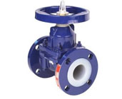 Diaphragm Valve