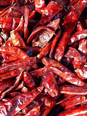 Dry Red Chilies