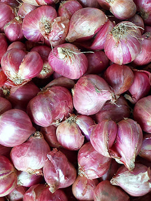 Small Onions