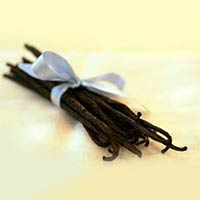 Vanilla Oil