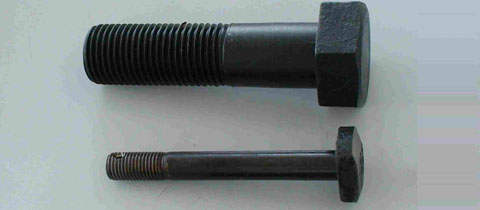 Carbon Steel Fasteners