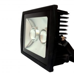 LED Flood Light