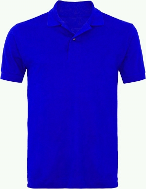 Blue Polo T-shirt