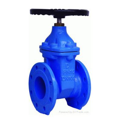 CI and DI Gate Valve