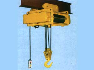 Electric Wire Rope Hoists