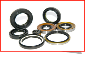 Oil Seals