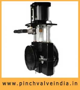 Automatic Pinch Valve