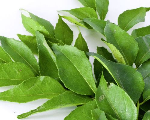 Curry Leaves