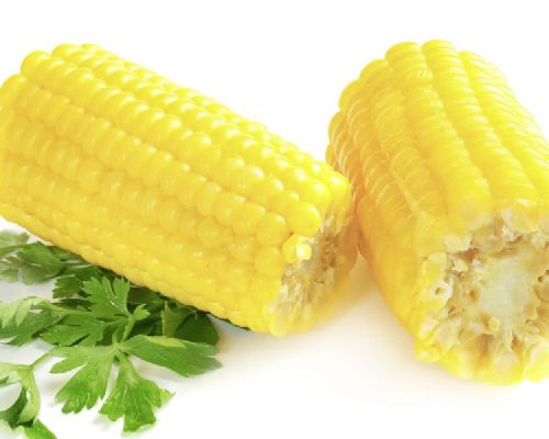 Mini Corn Cobs