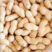 Groundnuts Shell