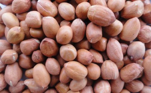 Groundnut Kernels Pure Java