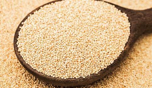 Amaranth Seeds, Feature : Gluten Free.