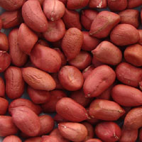 Peanuts for Food, Moisture : 4% Max