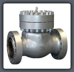 Check Valve