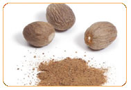 Nutmeg, Cultivation Type : Natural