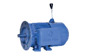 Brake Motors