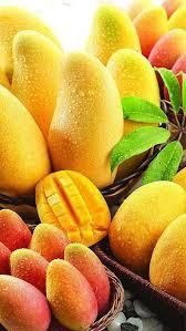 Fresh Mango,fresh Mango